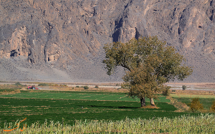 نی ریز کجاست نی ریز کجاست