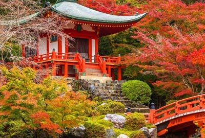 نکاتی برای سفر به شرق آسیا در الی گشت