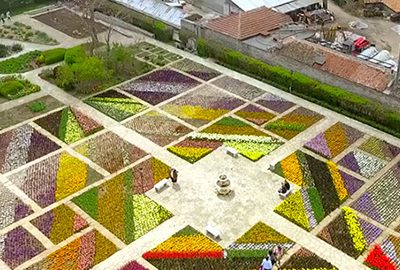 باغ گیاه شناسی وارنا