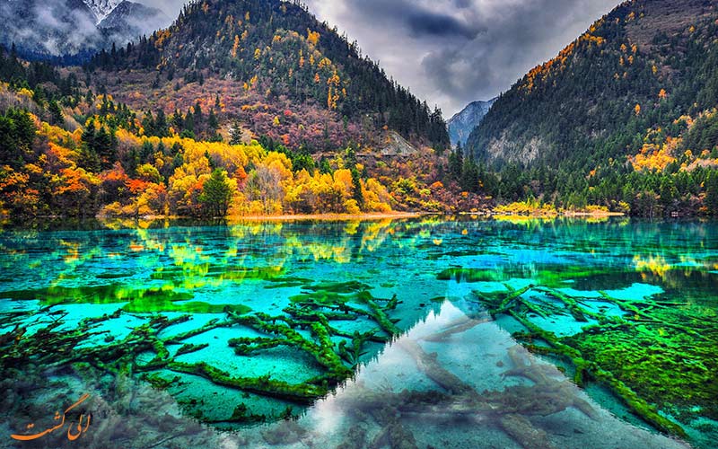 دریاچه پنج گل دریاچه پنج گل-پارک ملی دره جیوژای چین