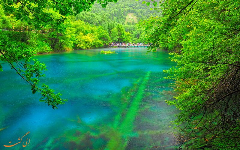 طبیعت بی نظیر پارک ملی دره جیوژای چین طبیعت بی نظیر پارک ملی دره جیوژای چین