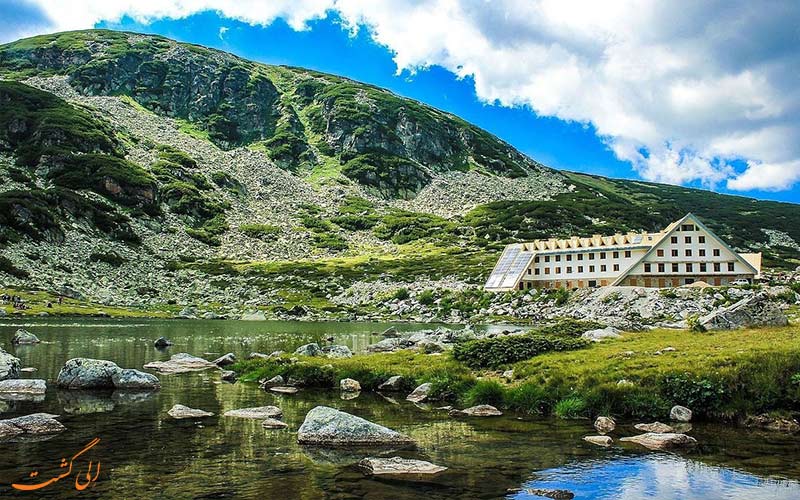 پوشش گیاهی پارک ملی پیرین بلغارستان پوشش گیاهی پارک ملی پیرین بلغارستان