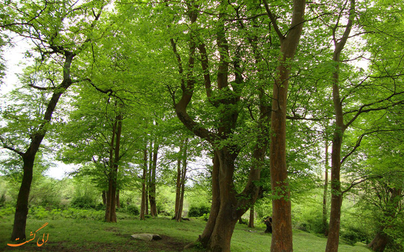 طبیعت استان گیلان طبیعت استان گیلان