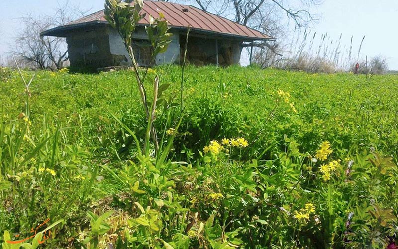 روستای گالشکا | Galesh Kola روستای گالشکا | Galesh Kola
