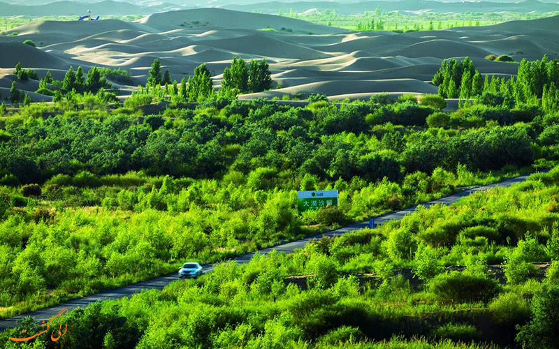 روز جهانی بیابان زدایی روز جهانی بیابان زدایی