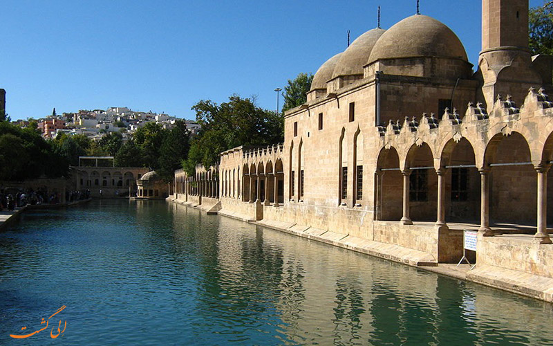بالیکلی گل بالیکلی گل