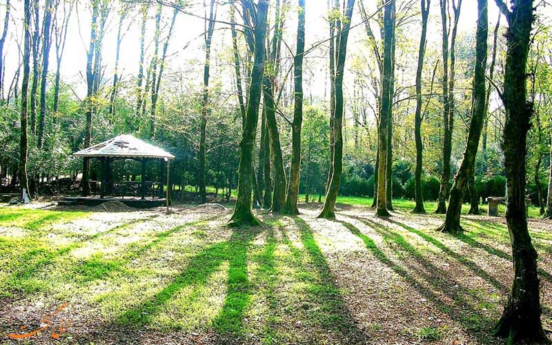 پارک-جنگلی-گیسوم پارک-جنگلی-گیسوم-جاذبه های تالش گیلان