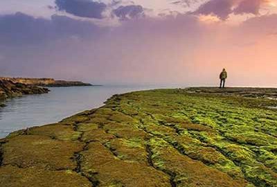 به کدام جزیره جنوب کشور سفر کنیم؟