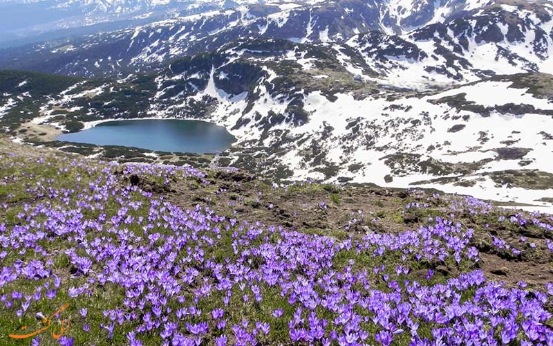 معرفی آب و هوا و بهترین زمان برای سفر به بلغارستان معرفی آب و هوا و بهترین زمان برای سفر به بلغارستان