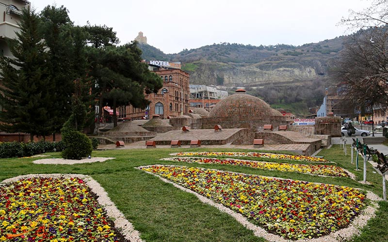 ● باغ های بوتانیکال تفلیس | Botanical Gardens Tbilisi ● باغ های بوتانیکال تفلیس | Botanical Gardens Tbilisi