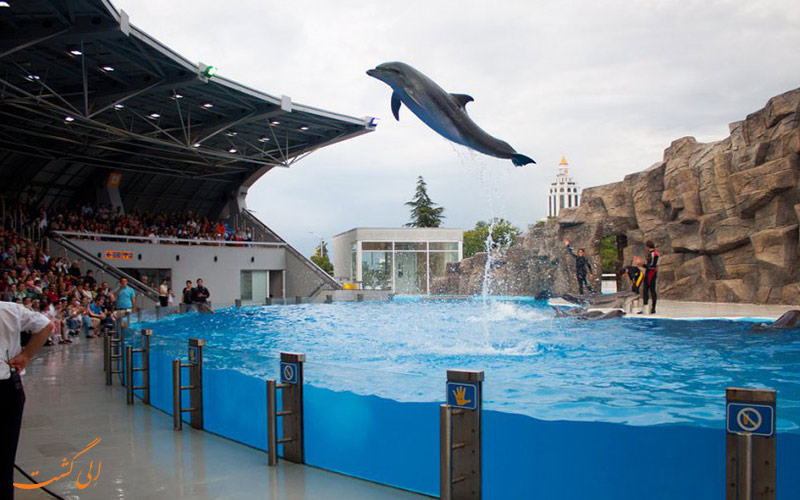 دلفیناریوم باتومی | Batumi Dolphinarium دلفیناریوم باتومی | Batumi Dolphinarium