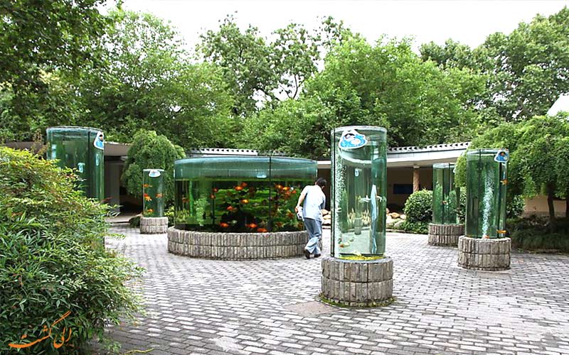 بخش-خزندگان-در-باغ-وحش-شانگهای بخش-خزندگان-در-باغ-وحش-شانگهای