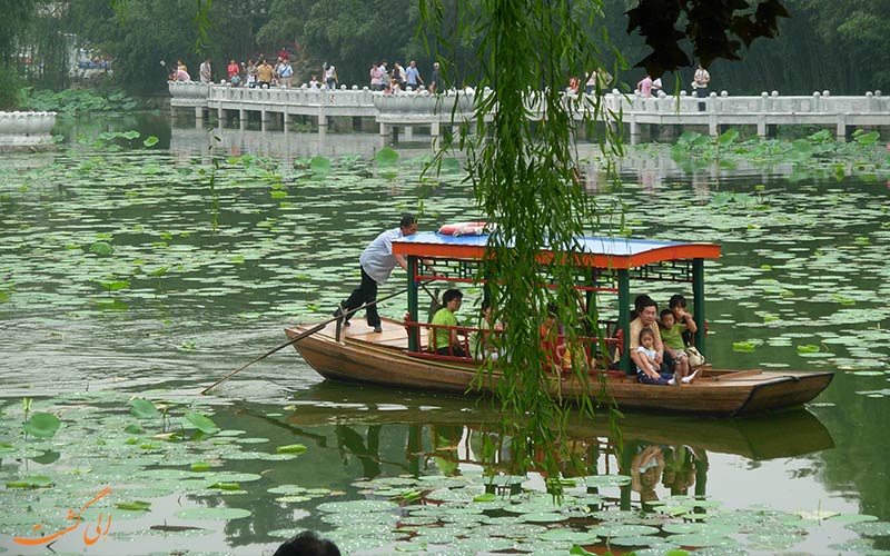 جاذبههای طبیعت گردی پکن در پارک بامبو جاذبههای طبیعت گردی پکن در پارک بامبو