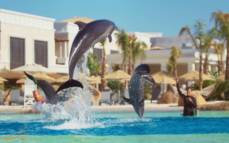 land-of-legends-water-park-antalya4