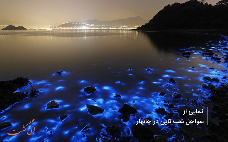 سواحل شب-تایی در چابهار نمونه ی مشاهده وادهو سواحل شب-تایی در چابهار نمونه ی مشاهده وادهو