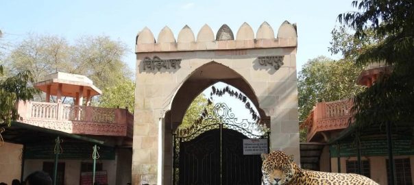 باغ وحش جیپور در هند