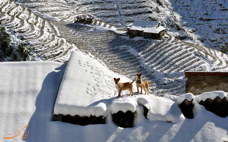 بهترین نقاط برای سفر در زمستان بهترین نقاط برای سفر در زمستان