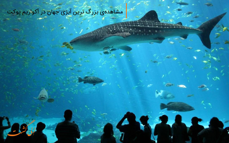 بزرگترین آبزی جهان در آکواریوم پوکت بزرگترین آبزی جهان در آکواریوم پوکت