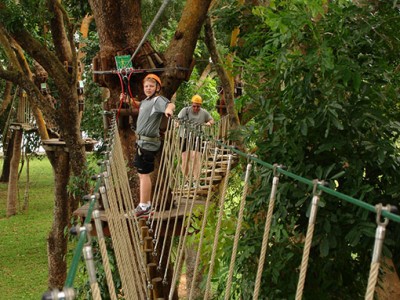 Forest Adventure Forest Adventure