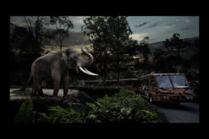 night safari night safari