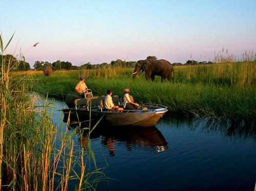 The-Okavango-Delta-500x374.jpg