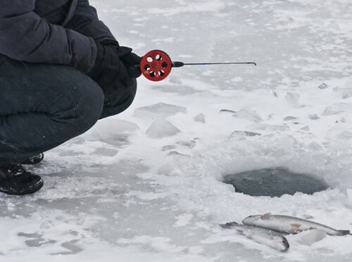 magazine-Trout Hwacheon County, South Korea