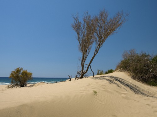 Dunes of Patara Dunes of Patara