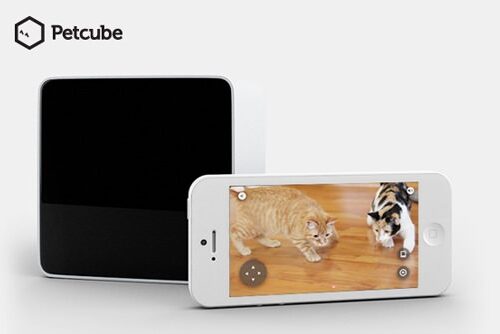 petcube گجتهای مسافرتی