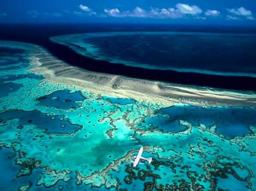 The-Great-Barrier-Reef-Queensland-500x374.jpg