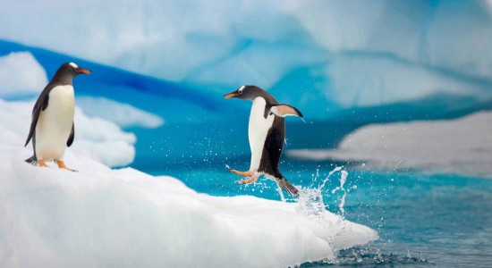 antarctica جاذبه های طبیعی دنیا
