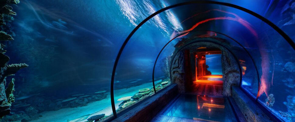 694620__wallpapers-background-wallpaper-aquarium-archives_p آکواریوم اصفهان