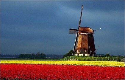 netherland هلند
