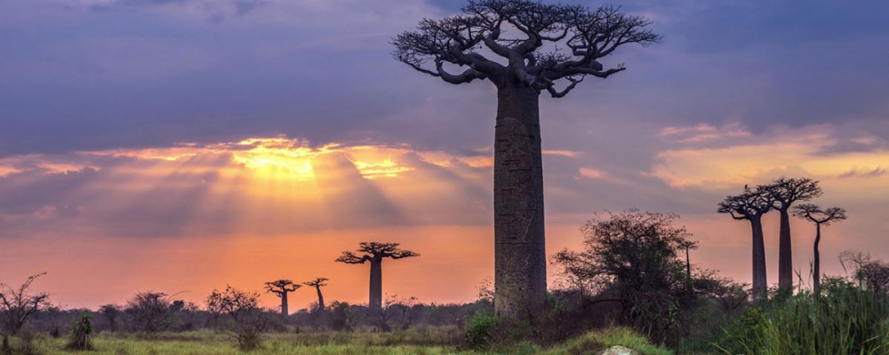 madagascar-volunteer ماداگاسکار