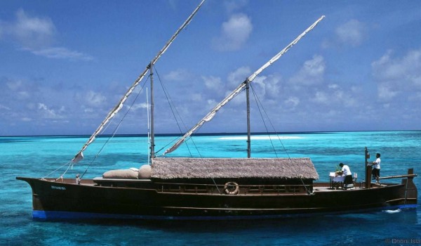 dhoni island مالدیو