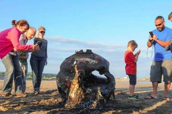 beaches اشیای عجیب در ساحل