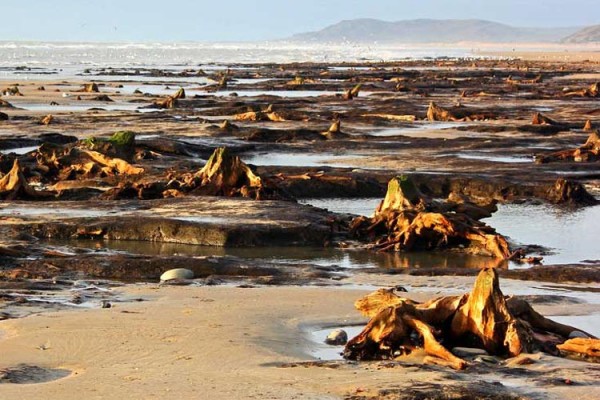 beaches اشیای عجیب در ساحل