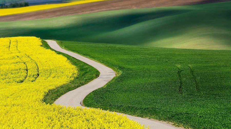 moravian زمین های Moravian - جمهوری چک 