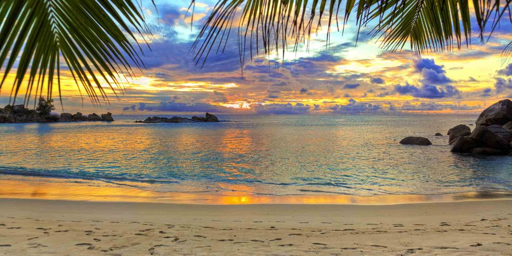 beach سواحل
