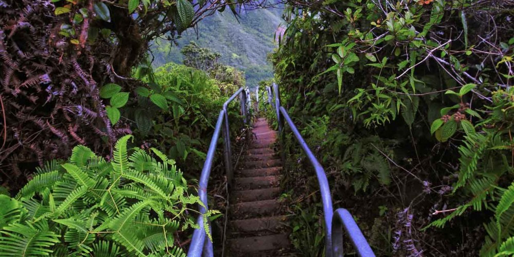 hawaii1 هاوایی