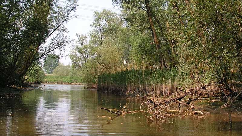 پارک ملی بیس بوسخ (Biesbosch national park) پارک ملی بیس بوسخ (Biesbosch national park)