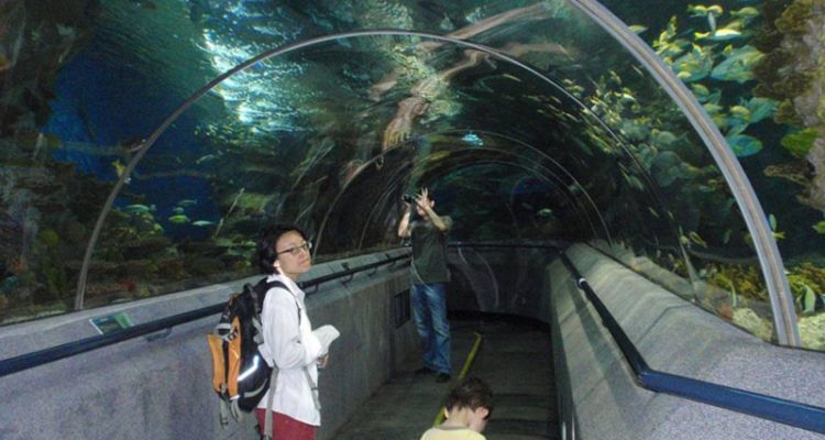 پارک Dalian Shengya Ocean World پارک Dalian Shengya Ocean World