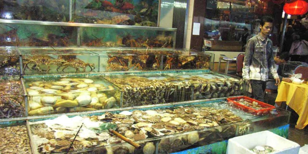 Seafood_Street_restaurants Seafood_Street_restaurants