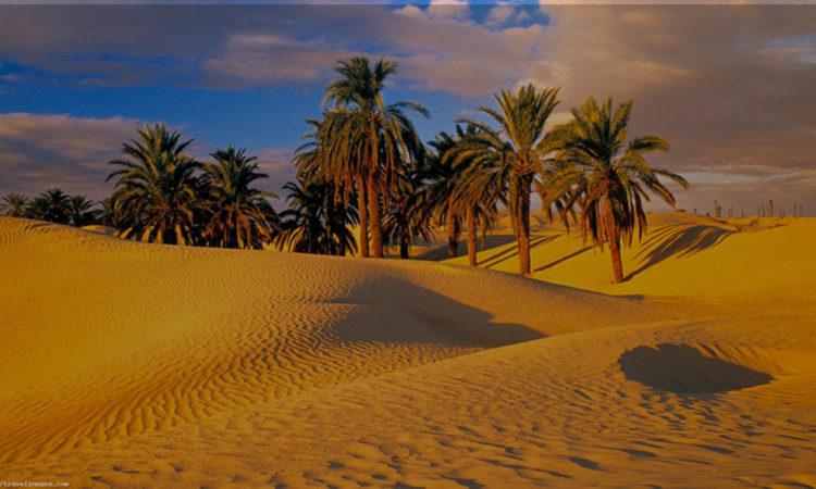Sahara Sahara