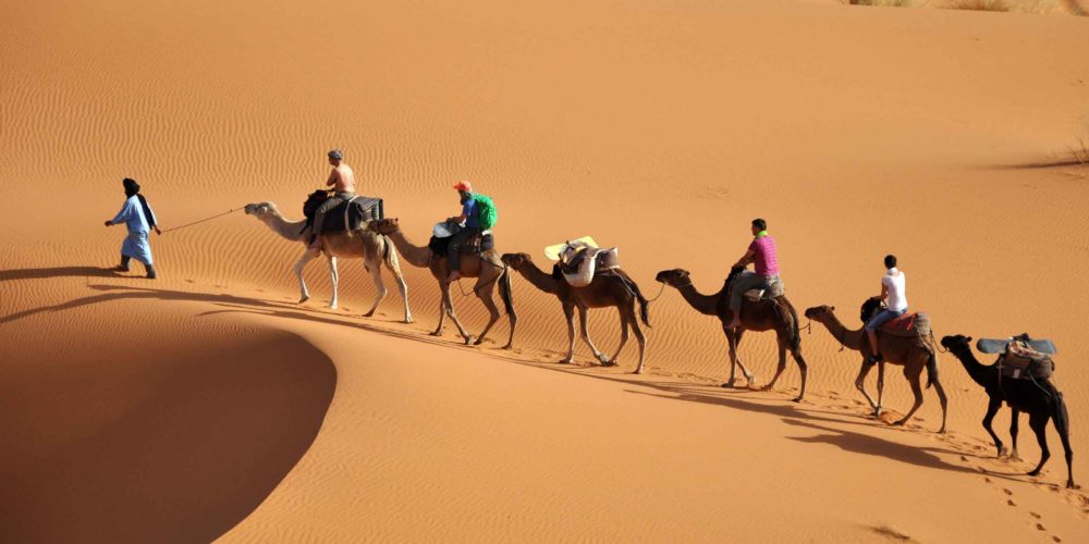 راهنمای کویر گردی راهنمای کویر گردی