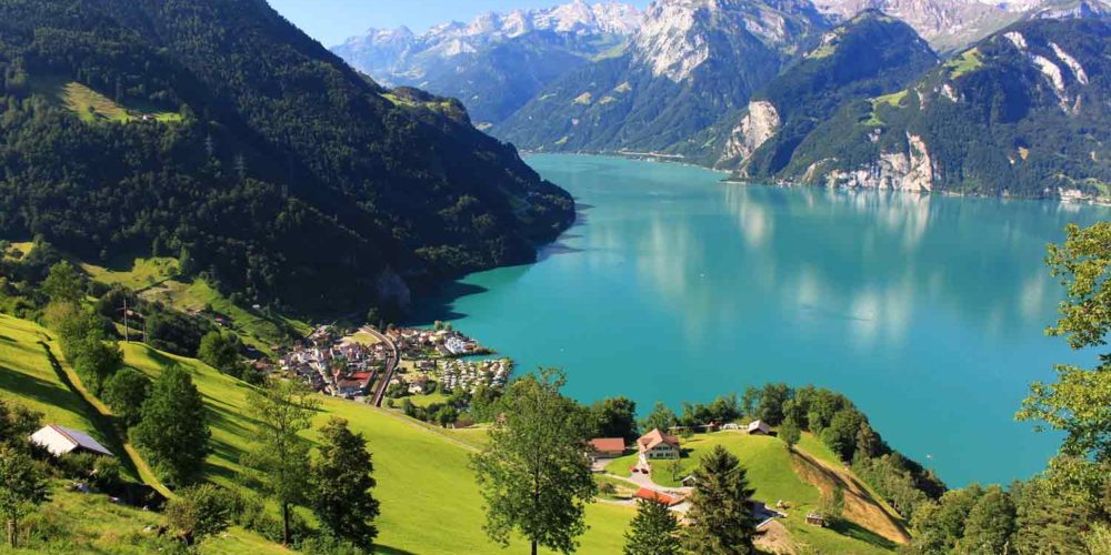_lucerne _lucerne
