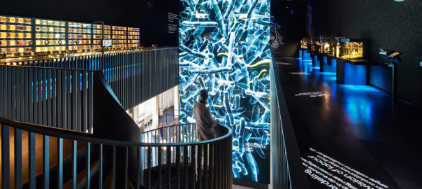 micropia_overzicht_museum