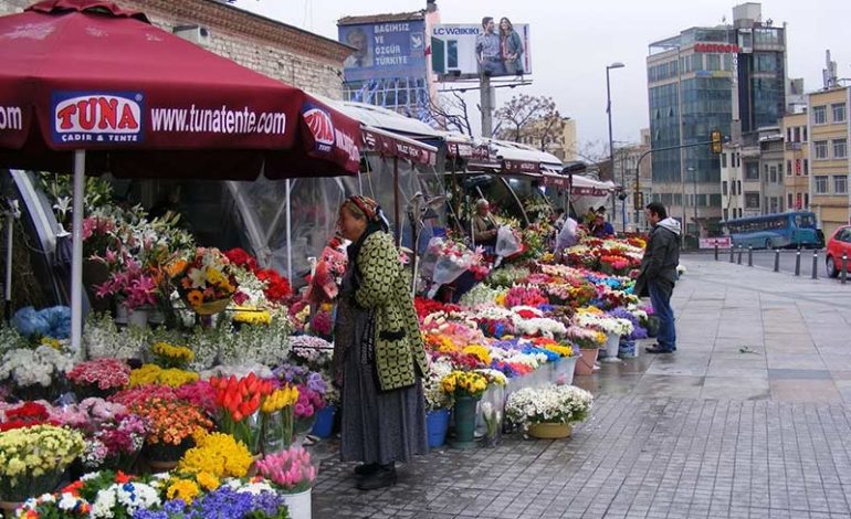 گل فروشی گل فروشی