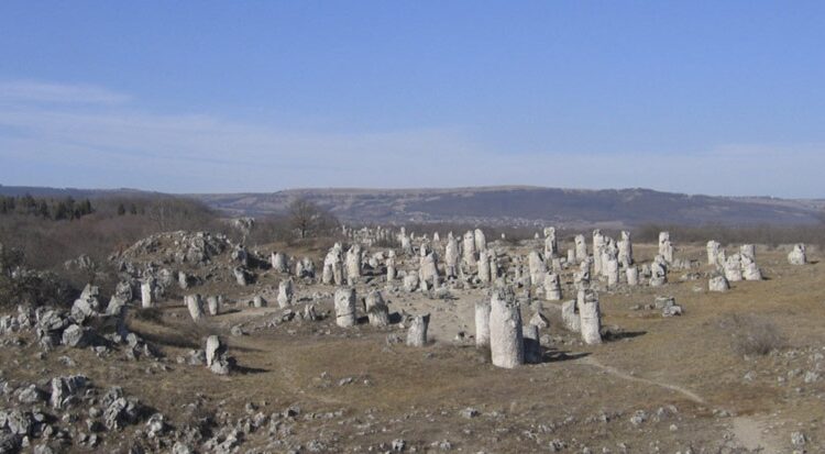 جنگل سنگ در بلغارستان جنگل سنگ در بلغارستان