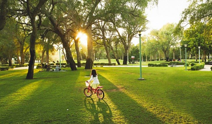 mushrifpark mushrifpark