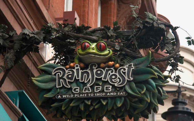 8-Rainforest-Cafe 8-Rainforest-Cafe